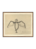 Croquis de corbeau marin