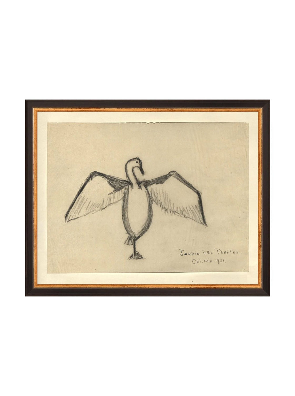 Croquis de corbeau marin