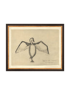 Croquis de corbeau marin