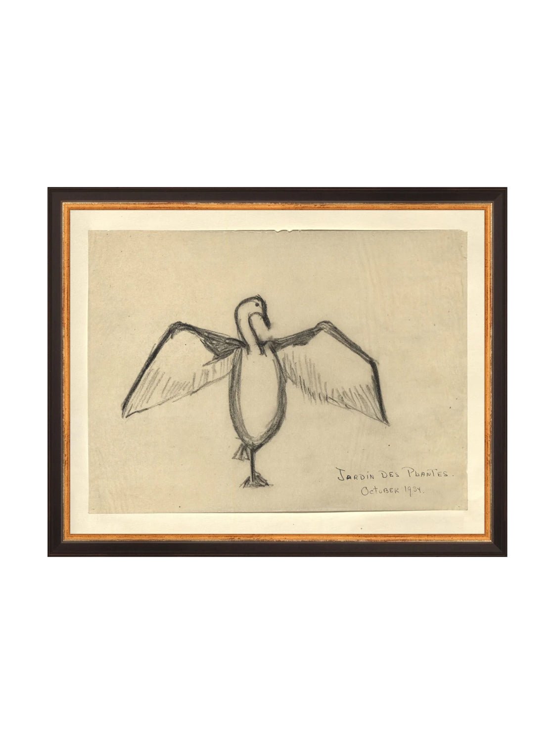 Croquis de corbeau marin