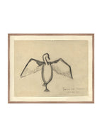 Croquis de corbeau marin