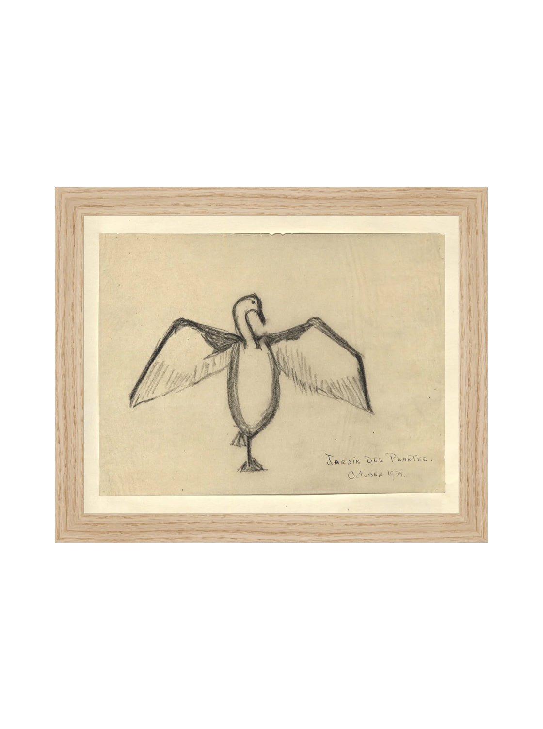 Croquis de corbeau marin