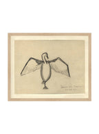 Croquis de corbeau marin