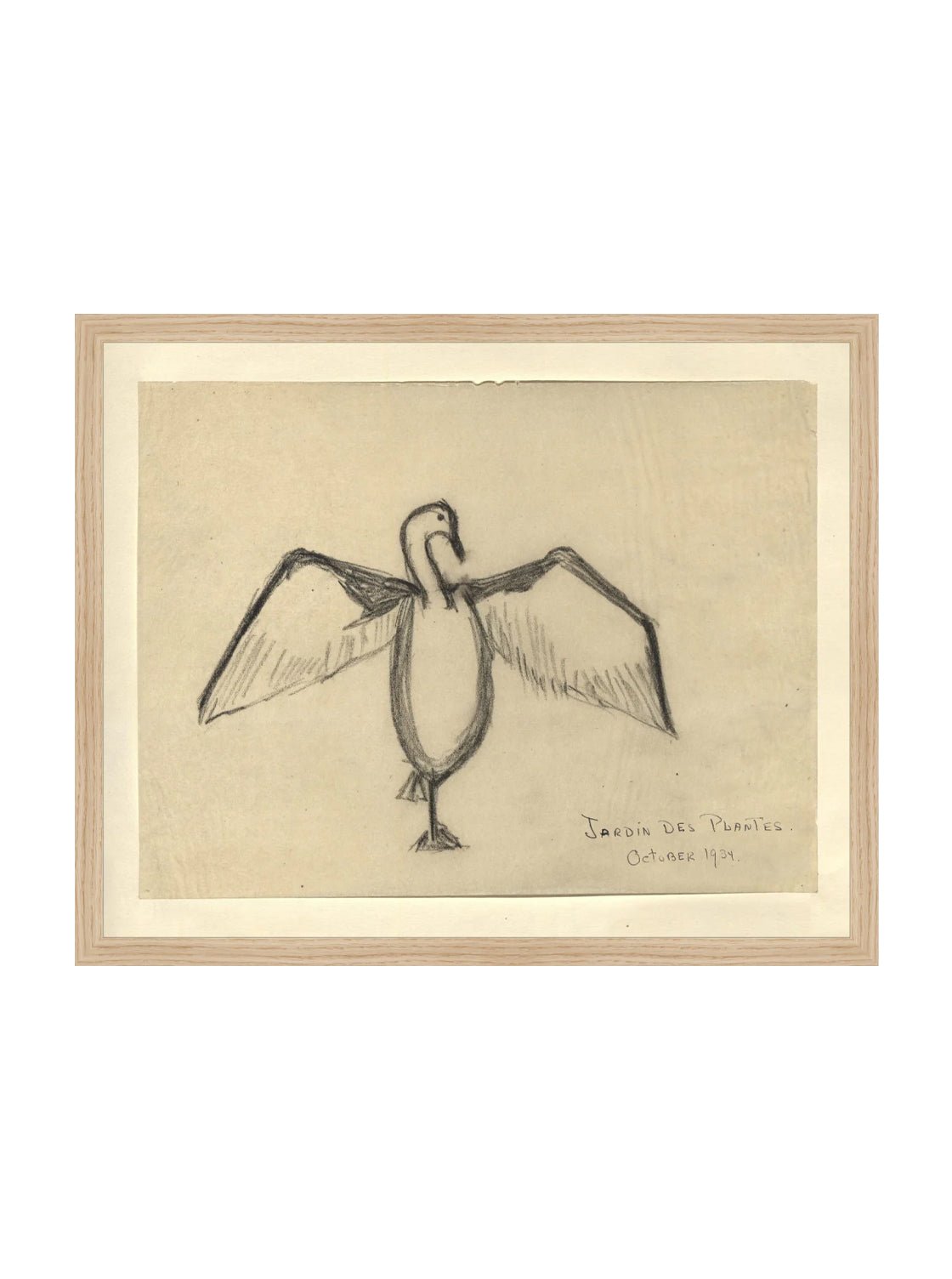 Croquis de corbeau marin