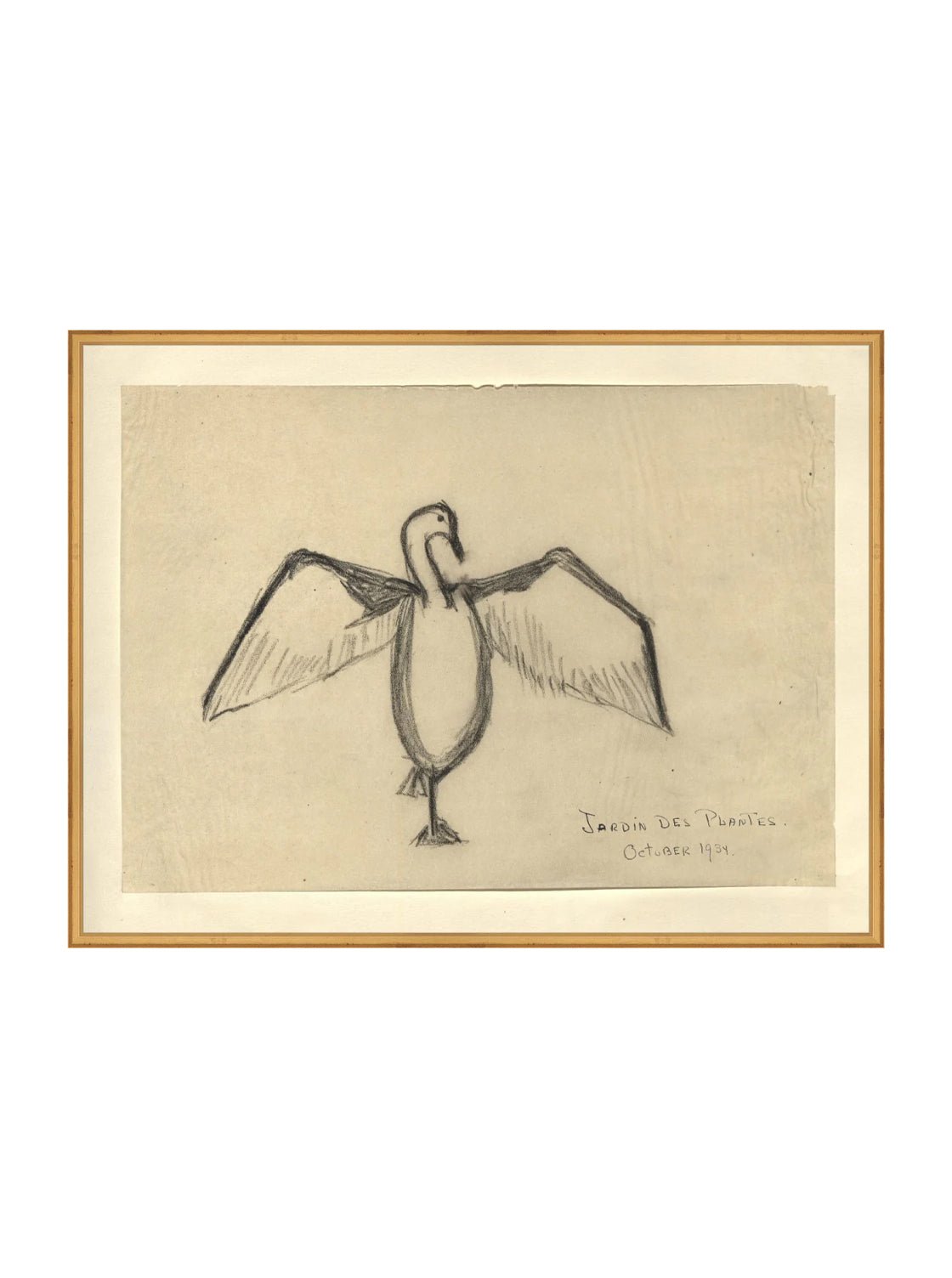 Croquis de corbeau marin