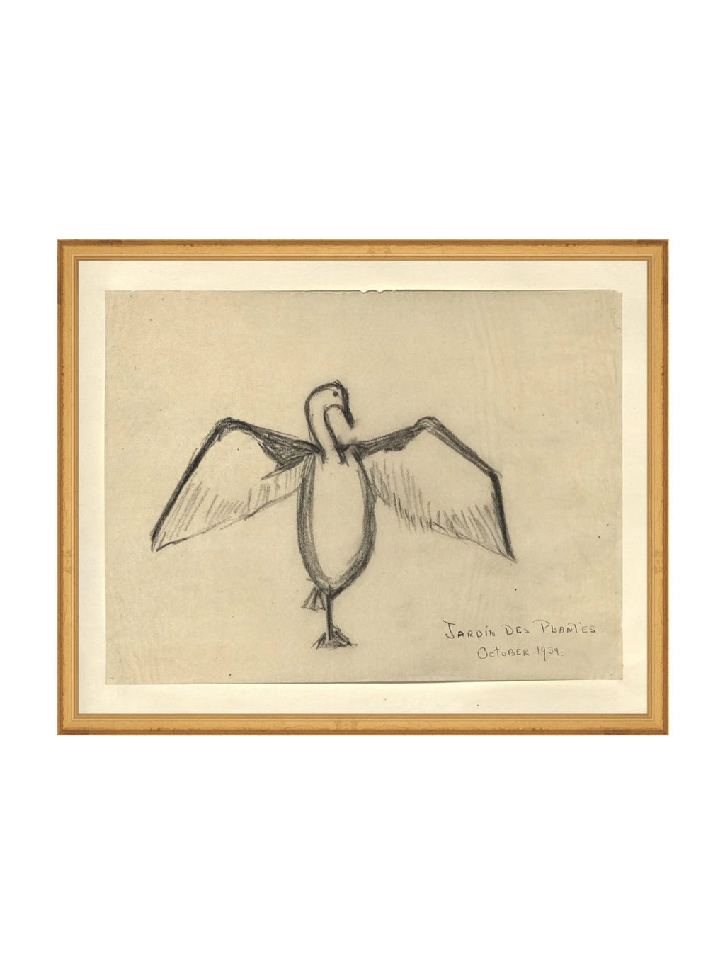 Croquis de corbeau marin