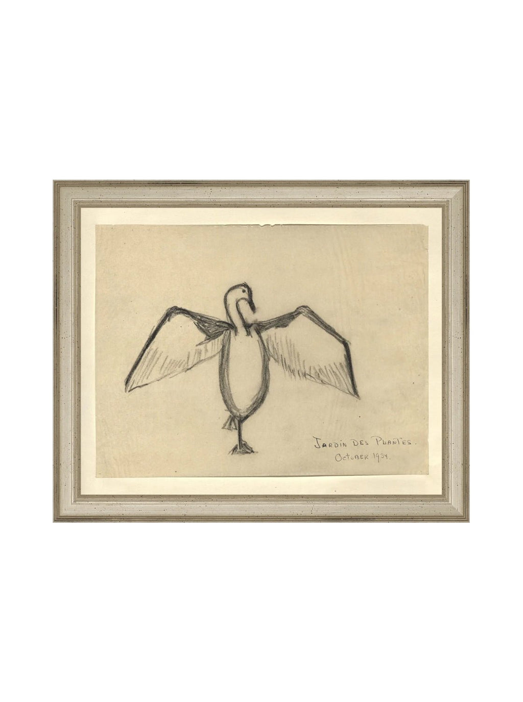 Croquis de corbeau marin