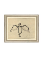 Croquis de corbeau marin