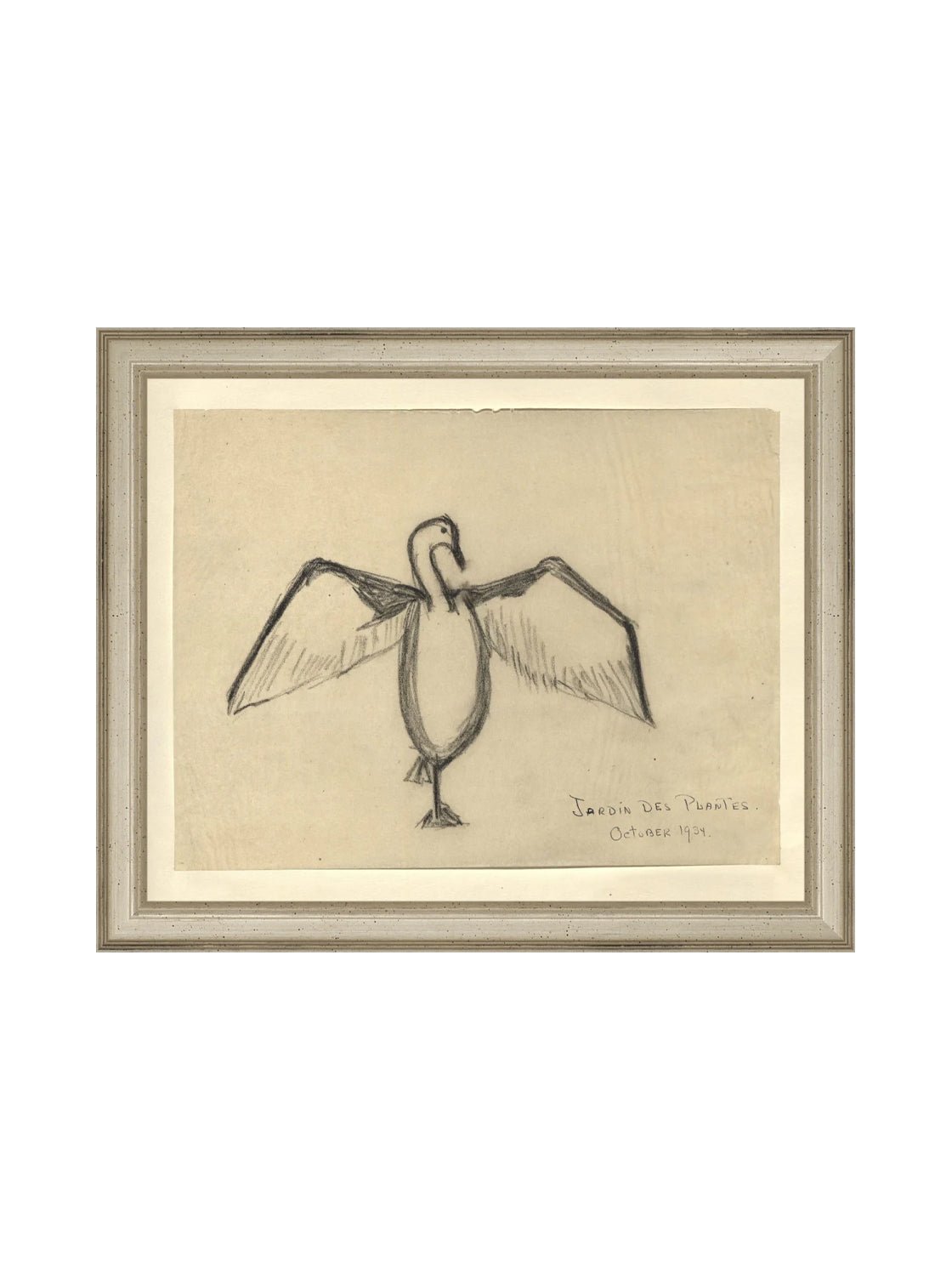 Croquis de corbeau marin