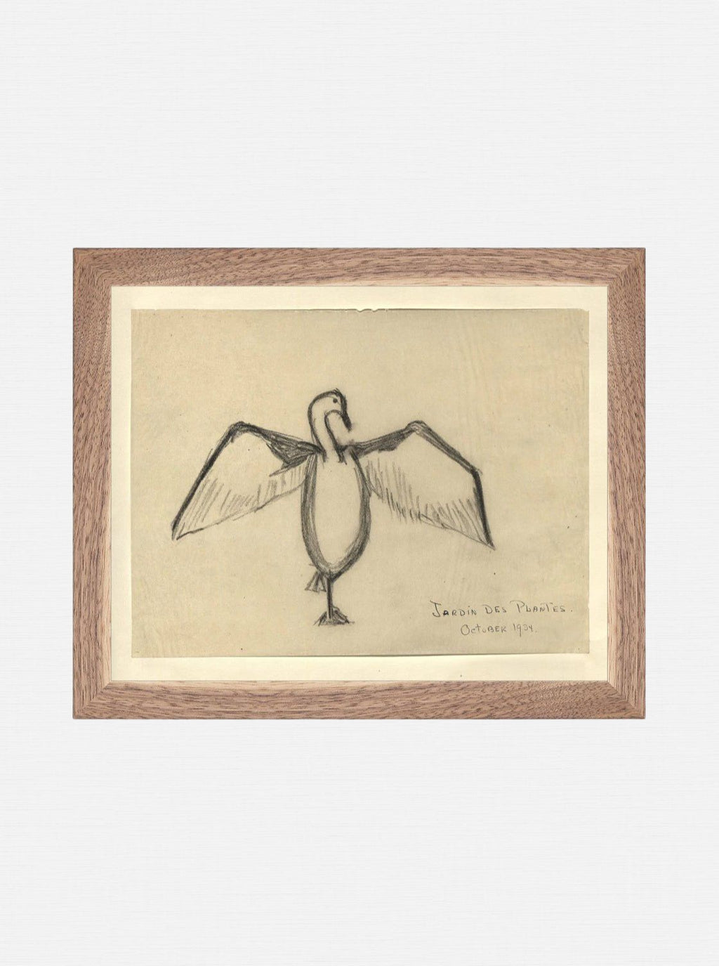 Croquis de corbeau marin