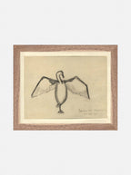 Croquis de corbeau marin