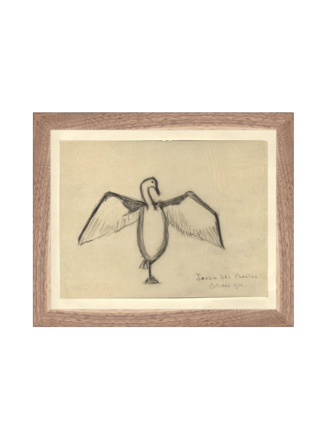 Croquis de corbeau marin
