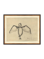 Croquis de corbeau marin