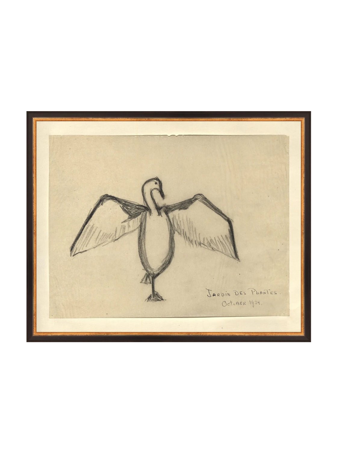 Croquis de corbeau marin