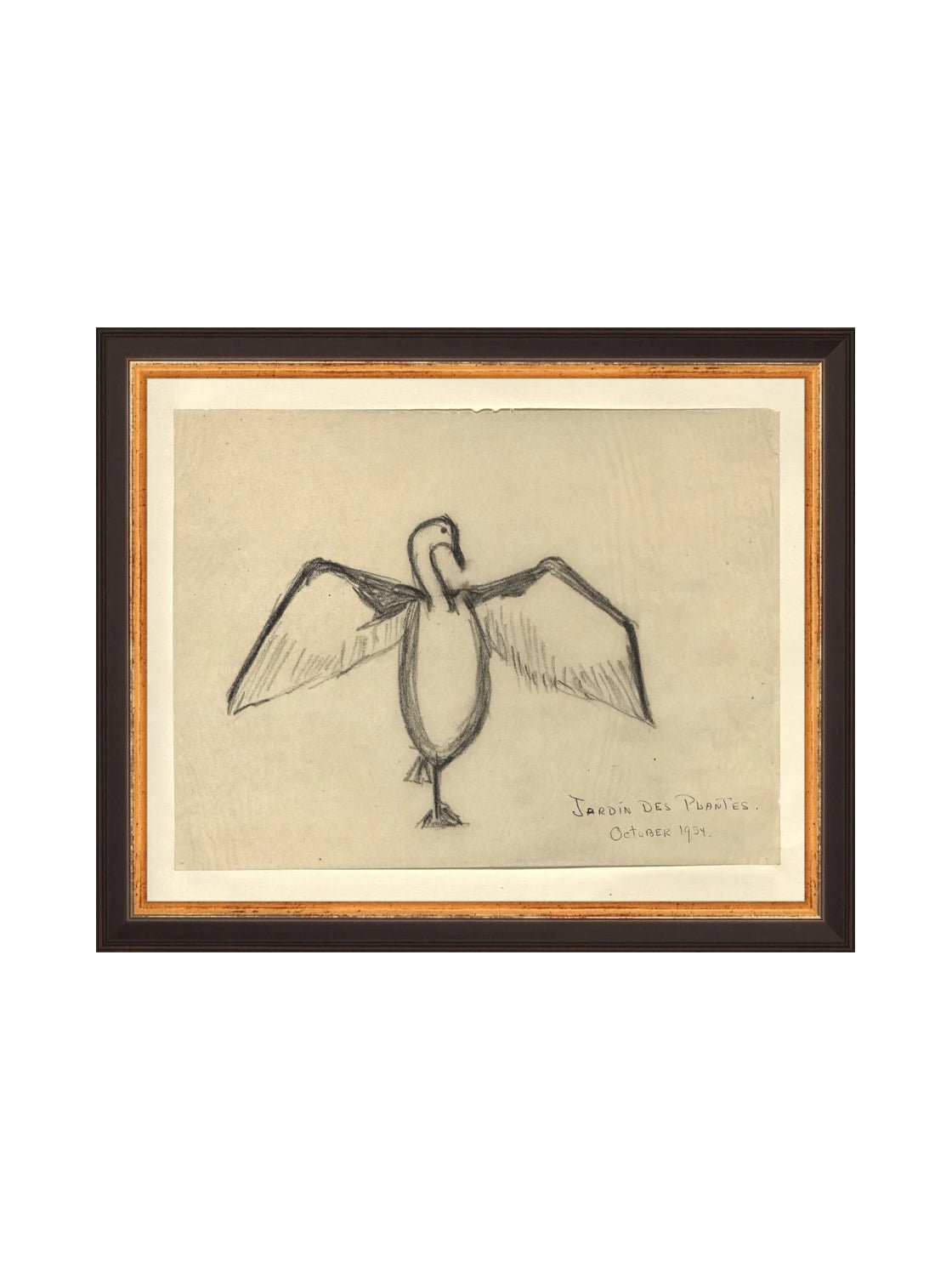 Croquis de corbeau marin