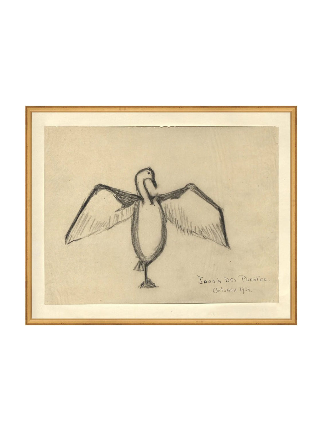 Croquis de corbeau marin