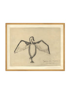 Croquis de corbeau marin