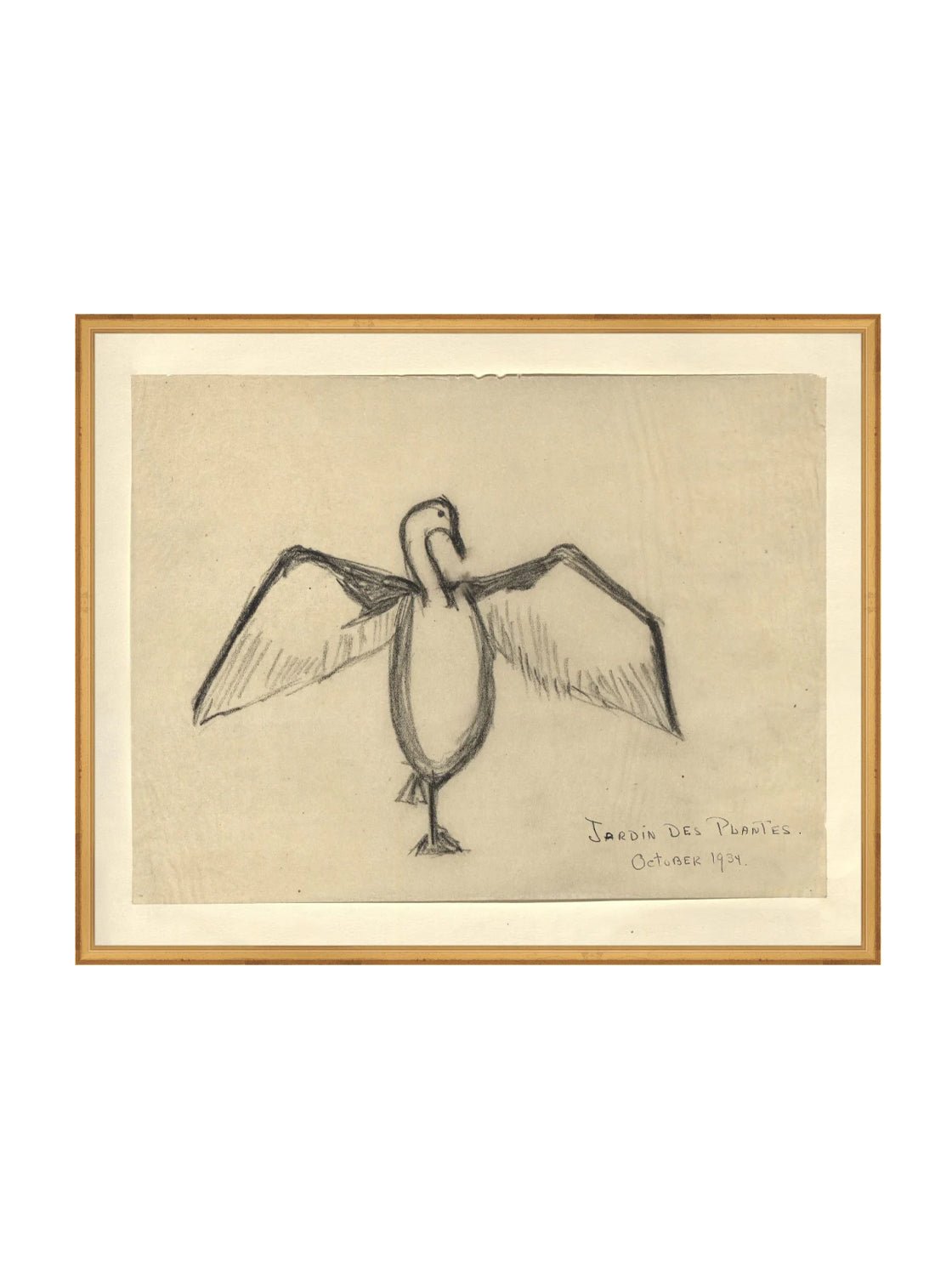 Croquis de corbeau marin