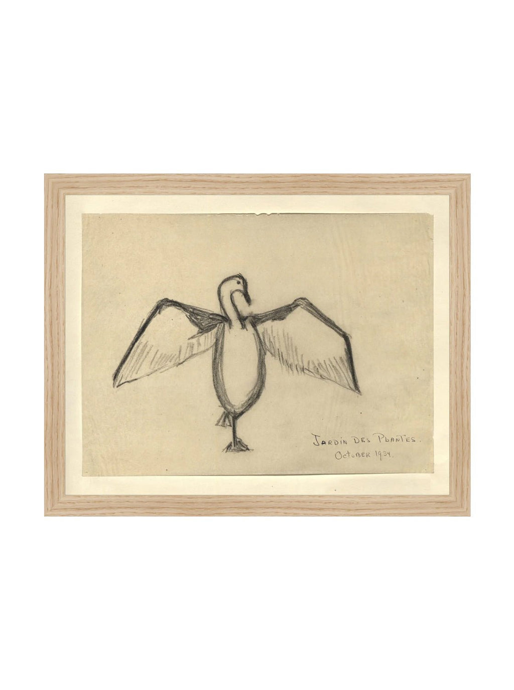 Croquis de corbeau marin