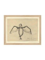 Croquis de corbeau marin