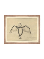 Croquis de corbeau marin