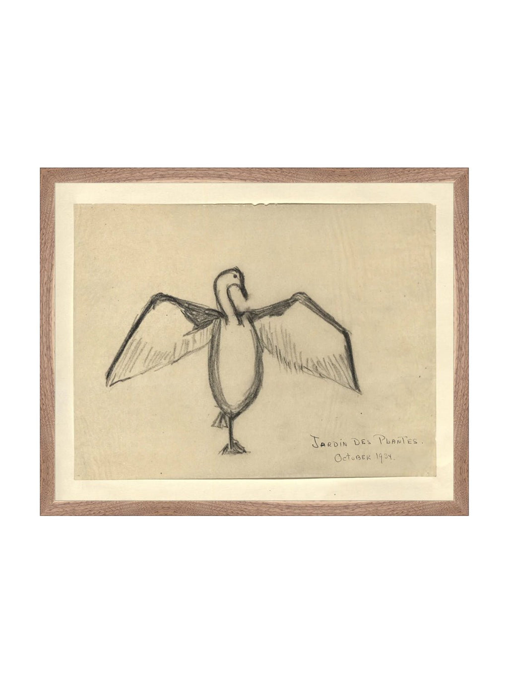 Croquis de corbeau marin
