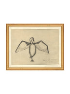 Croquis de corbeau marin