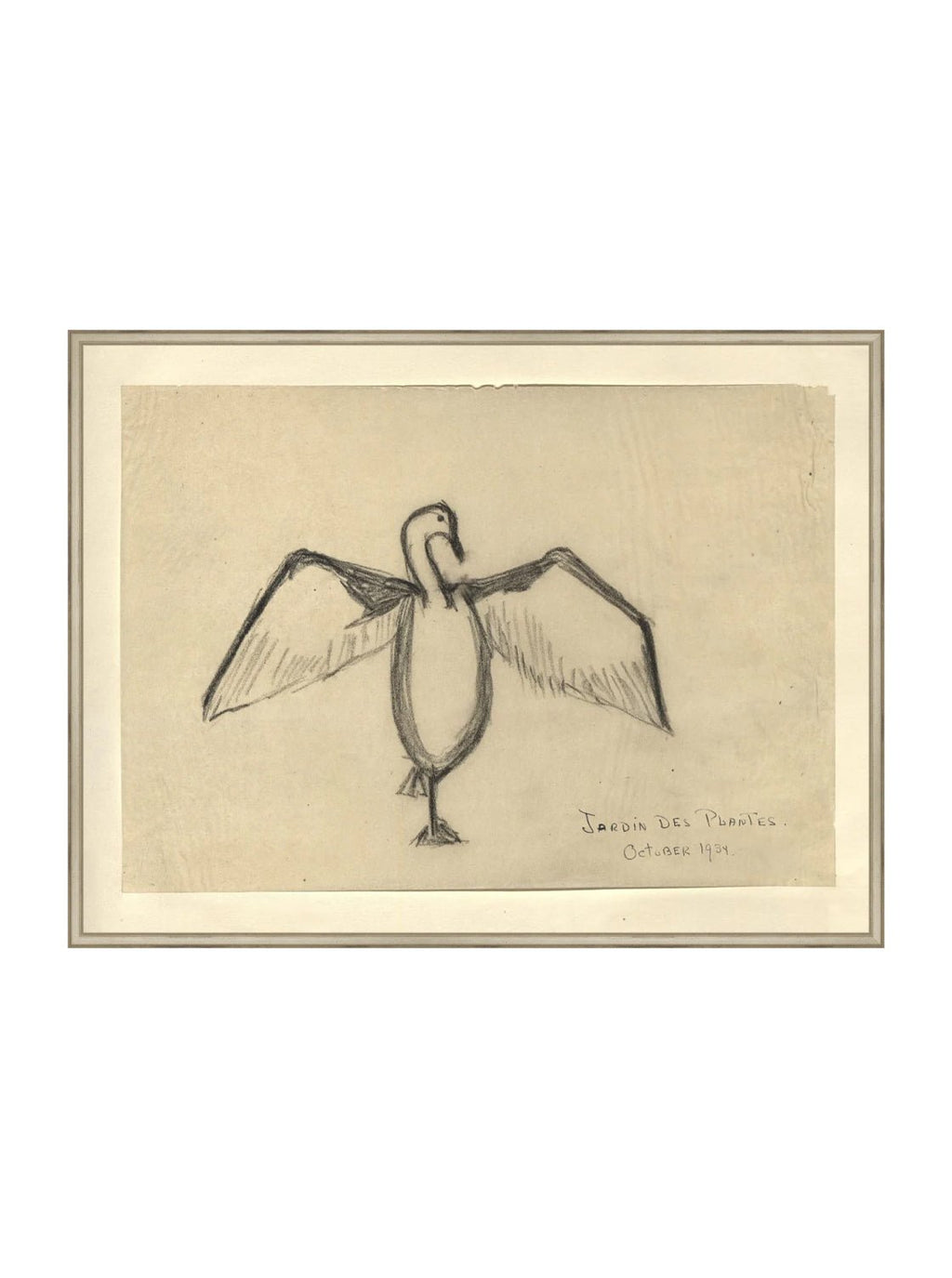 Croquis de corbeau marin