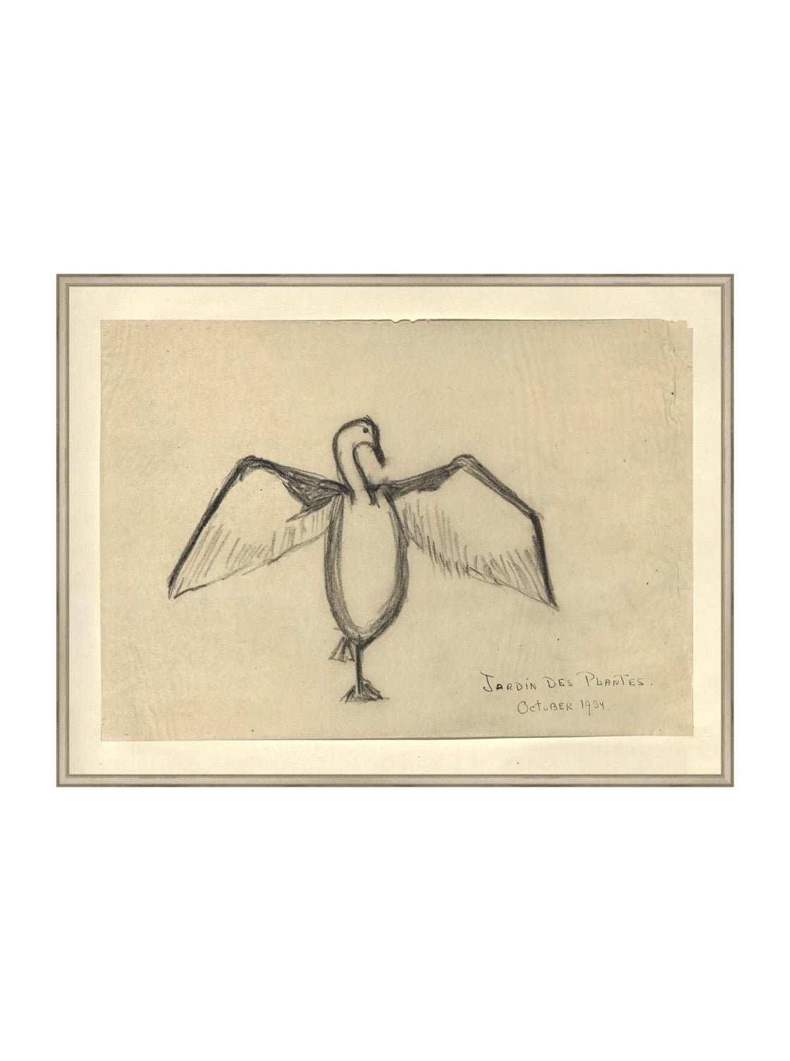 Croquis de corbeau marin