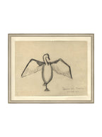 Croquis de corbeau marin