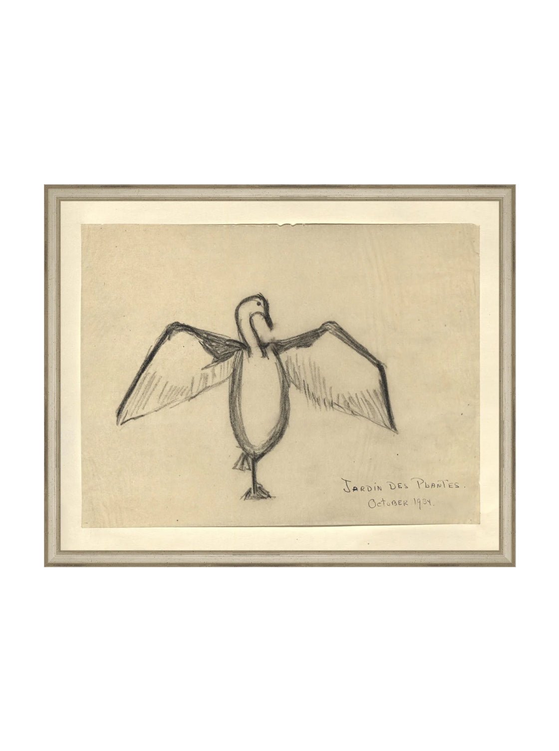 Croquis de corbeau marin