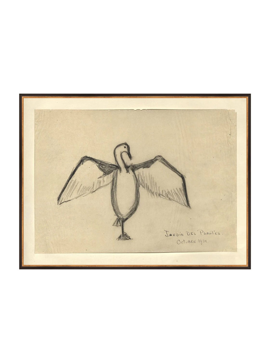 Croquis de corbeau marin