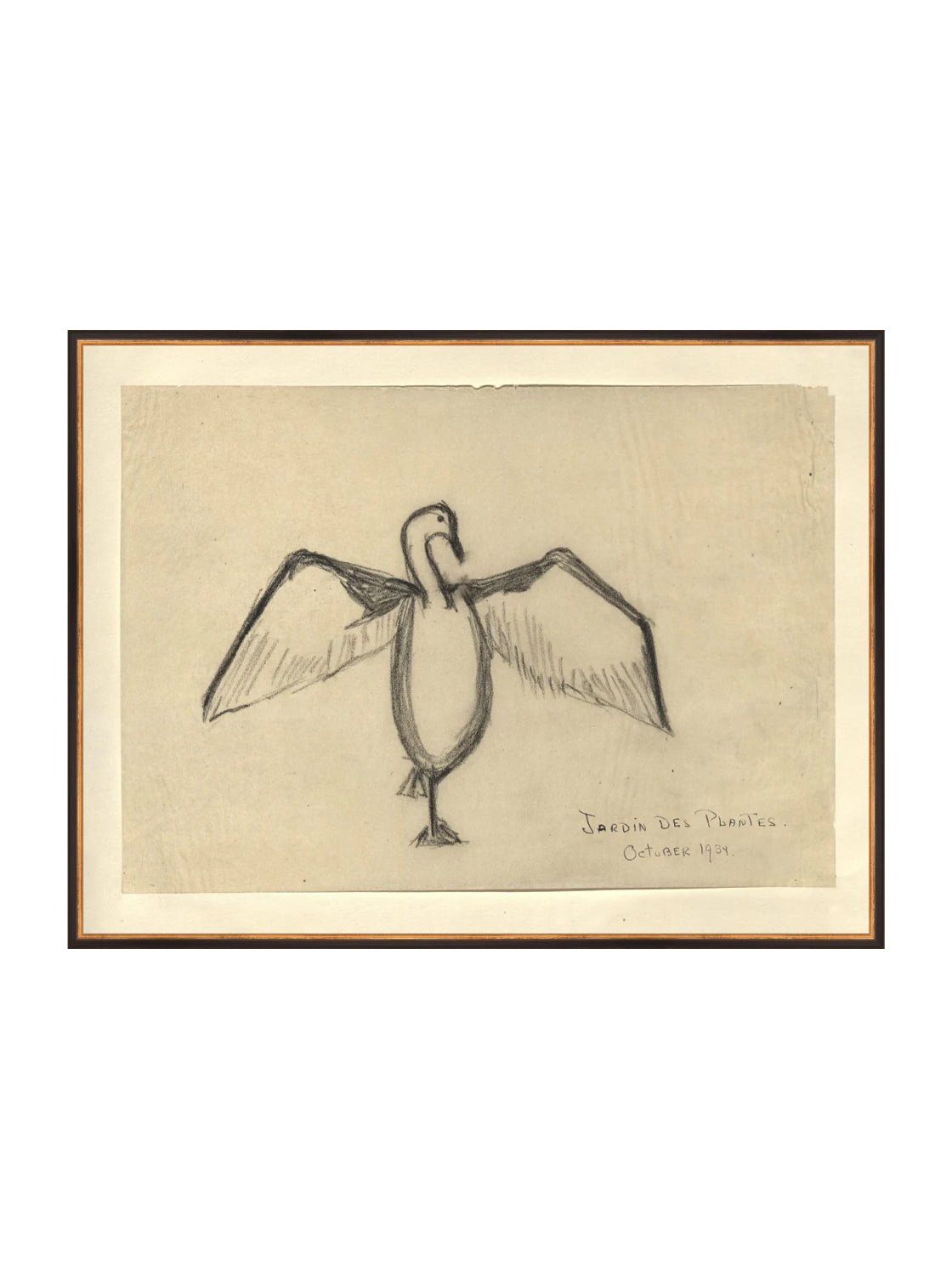 Croquis de corbeau marin