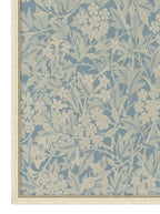 Botanique printanière : 2