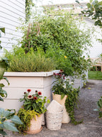 Pot en pierre rayée