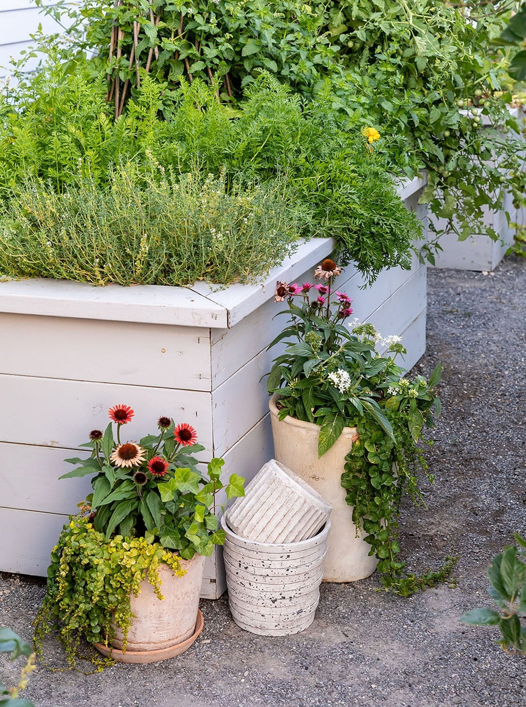 Pot en pierre rayée