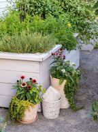 Pot en pierre rayée