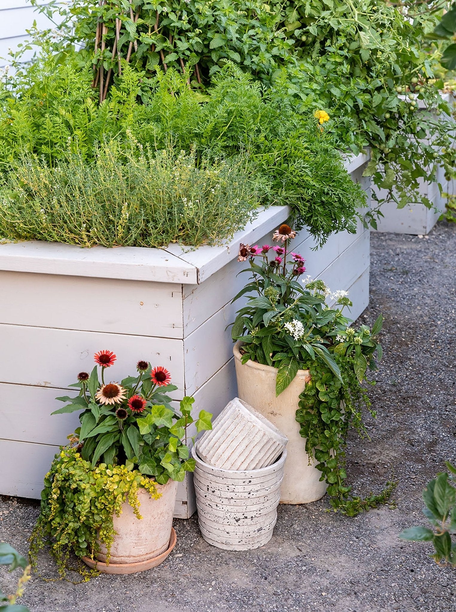 Pot en pierre rayée