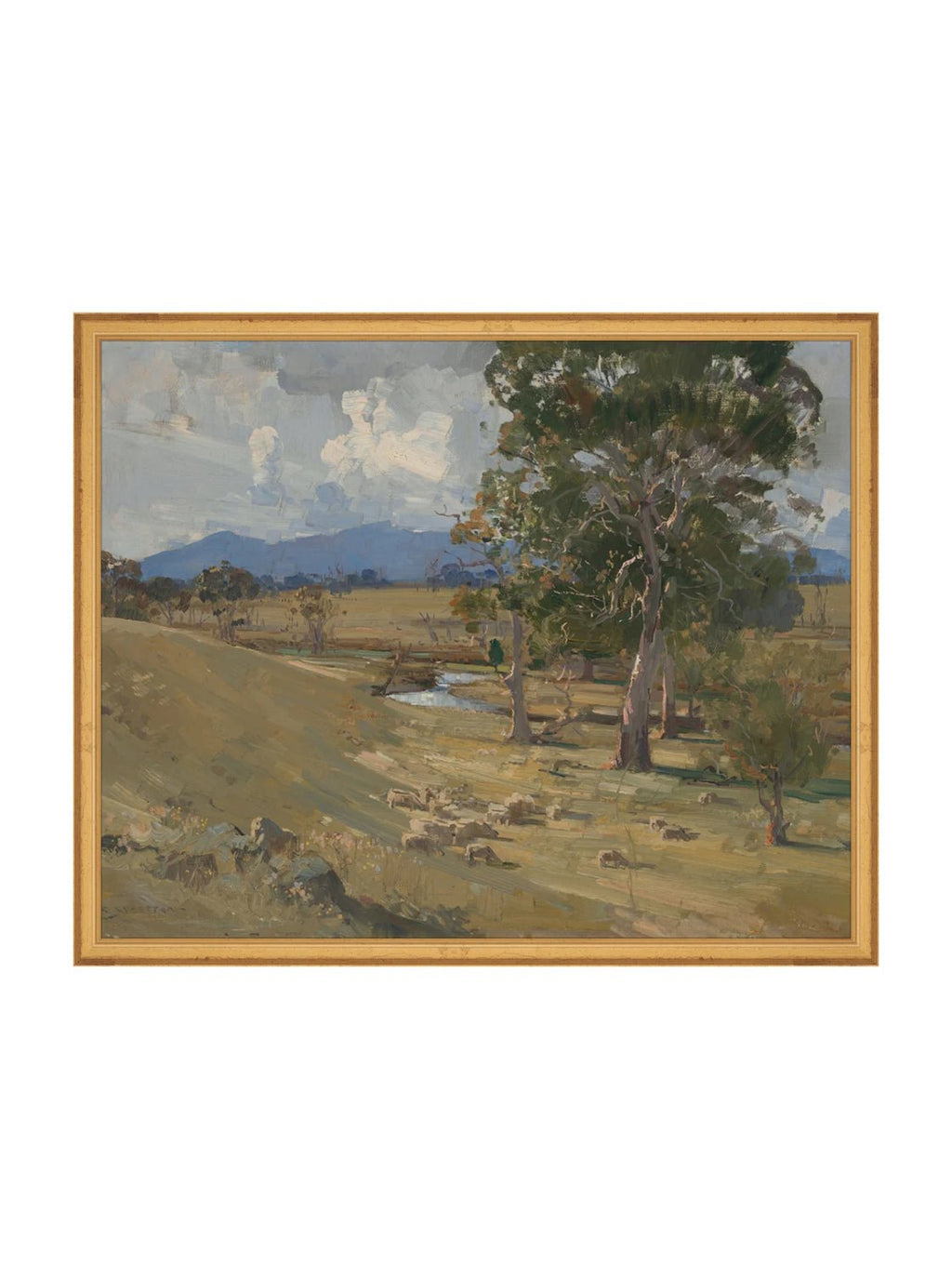 Colline d'été