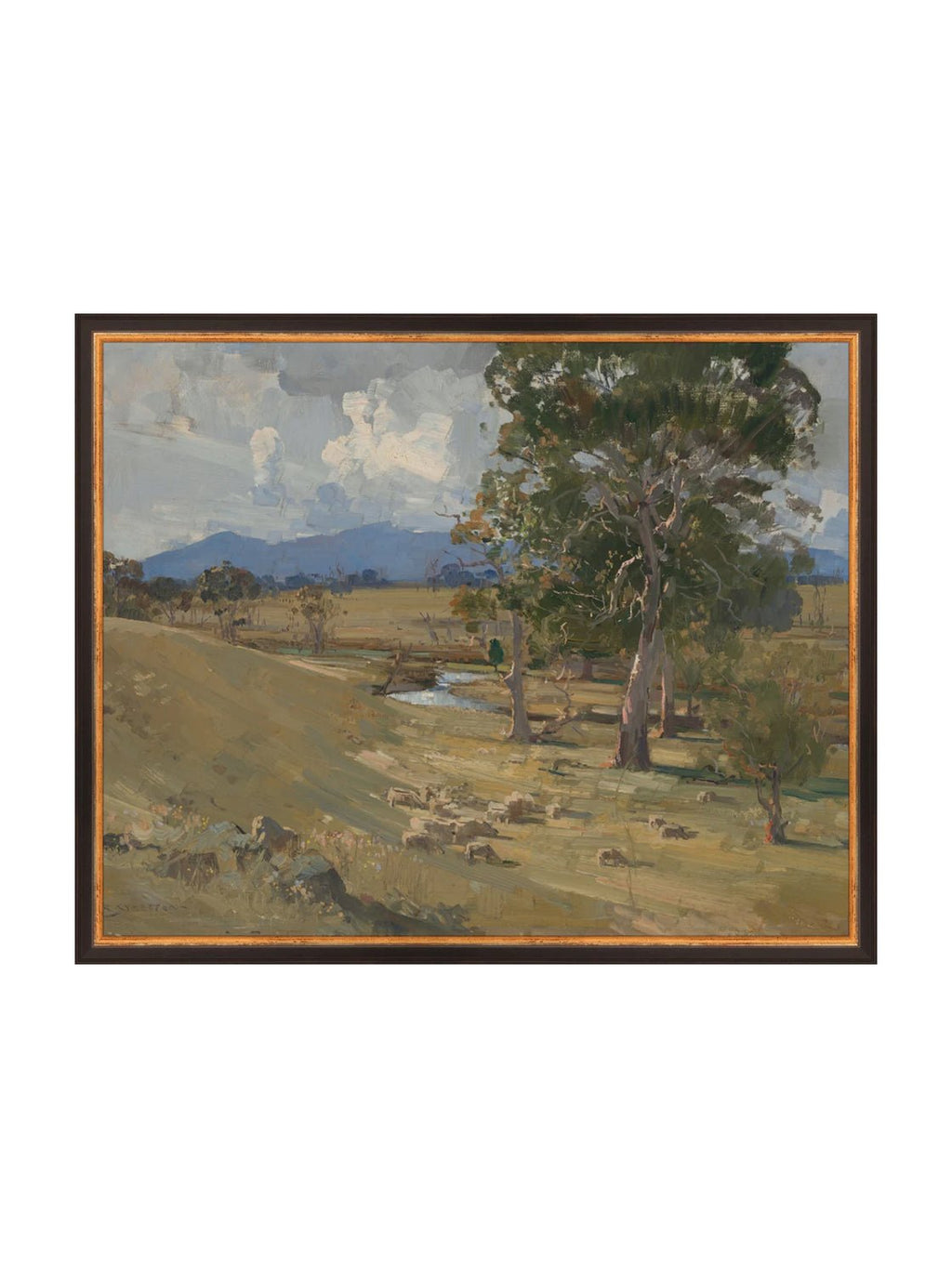 Colline d'été