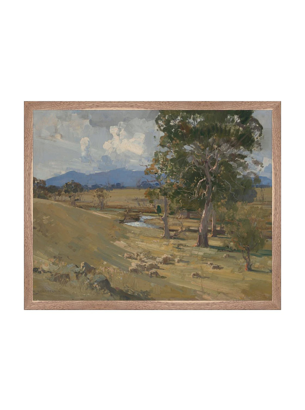 Colline d'été