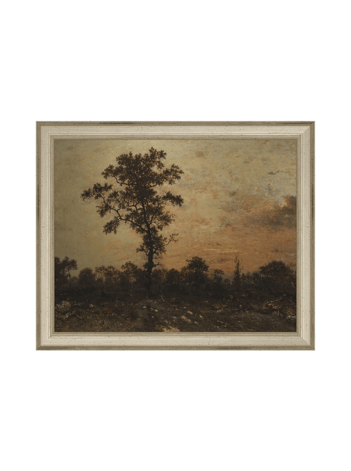 Forêt du lever du soleil