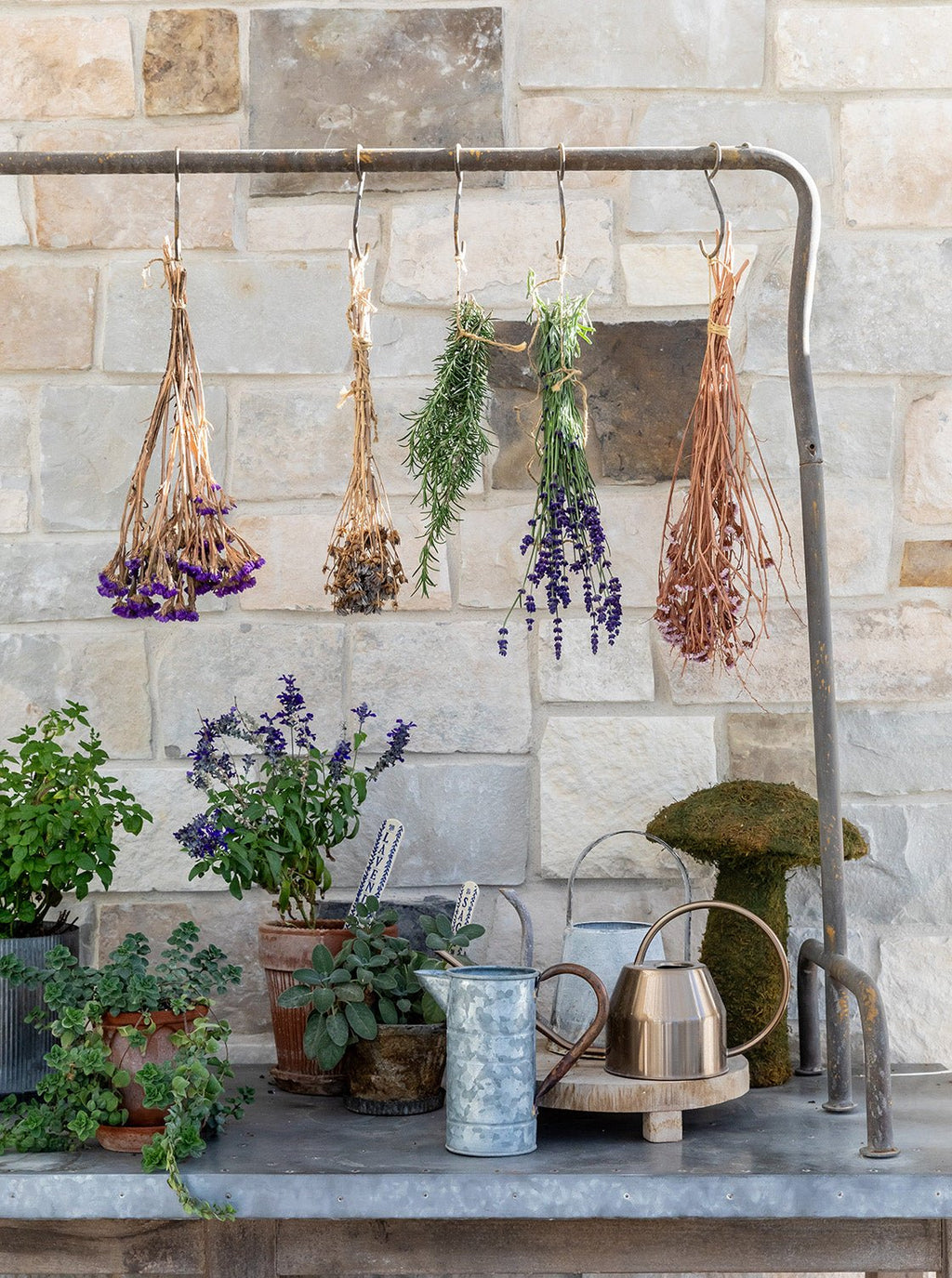 Arrosoir en fer-blanc