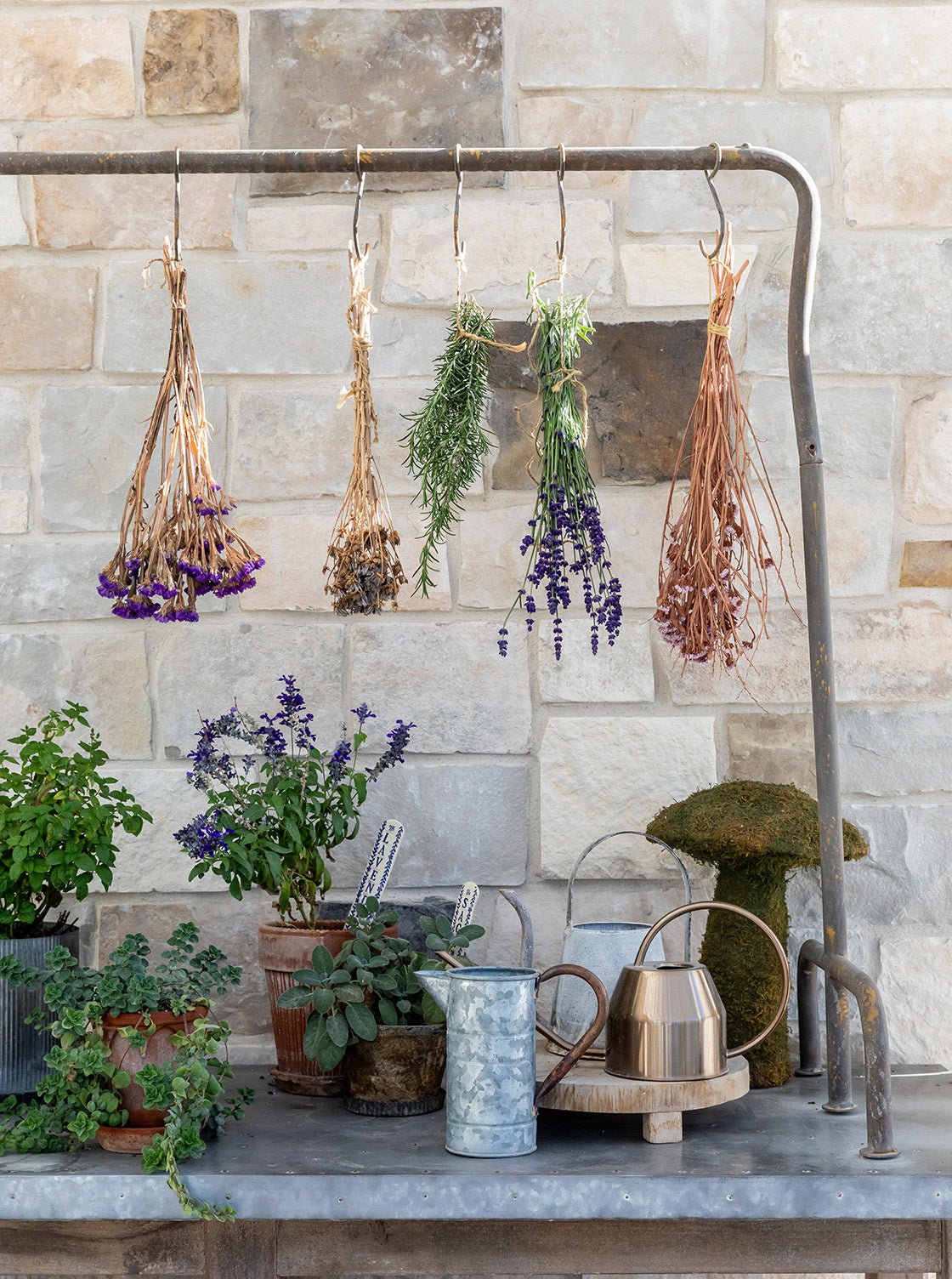 Arrosoir en fer-blanc