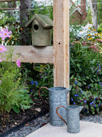 Arrosoir en fer-blanc