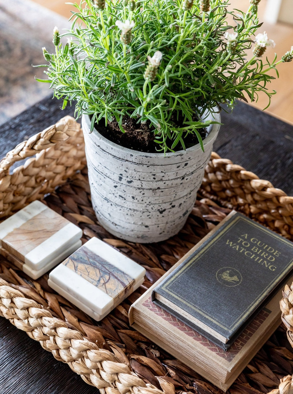 Coffret de livres Well Dressed Home | Lot de 2