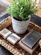 Coffret de livres Well Dressed Home | Lot de 2